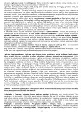 Pedagogikos pasiruošimas atsiskaitymui 2 puslapis