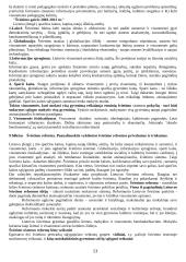 Pedagogikos pasiruošimas atsiskaitymui 13 puslapis