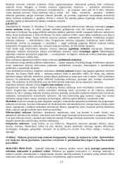 Pedagogikos pasiruošimas atsiskaitymui 17 puslapis