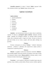 Pedagogika ir jos objektas 2 puslapis