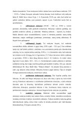 Pedagogika ir jos objektas 11 puslapis