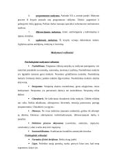 Pedagogika ir jos objektas 12 puslapis