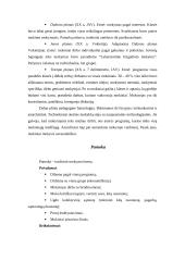 Pedagogika ir jos objektas 19 puslapis