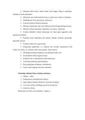 Pedagogika ir jos objektas 20 puslapis