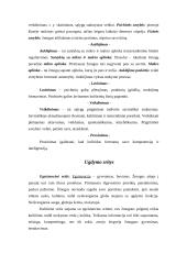 Pedagogika ir jos objektas 3 puslapis