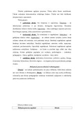 Pedagogika ir jos objektas 6 puslapis