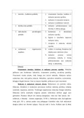 Pedagogika ir jos objektas 7 puslapis