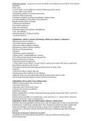 Personalas 2 puslapis