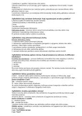 Personalas 3 puslapis