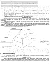 Personalo vadyba ir personalo vertinimas 10 puslapis