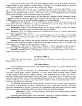 Pinigai ir bankai - teorija 7 puslapis