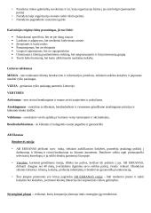 Planavimas - tai tikslų nustatymas ir priemonių tiems tikslams pasiekti parinkimas 2 puslapis