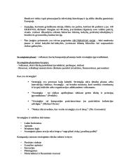 Planavimas ir strategija 3 puslapis