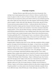 Prancūzijos energetikos sektorius 2 puslapis