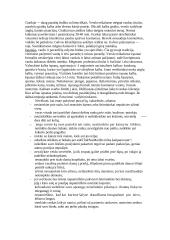 Protokolas ir etiketas 12 puslapis