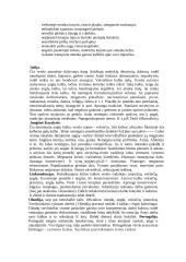 Protokolas ir etiketas 13 puslapis