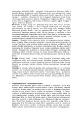 Protokolas ir etiketas 14 puslapis