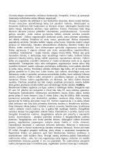 Protokolas ir etiketas 20 puslapis