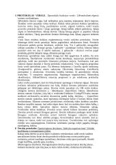 Protokolas ir etiketas 7 puslapis