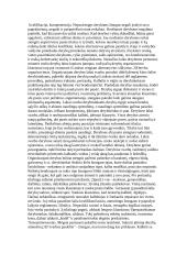 Protokolas ir etiketas 8 puslapis