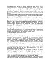 Protokolas ir etiketas - gera teorija 13 puslapis