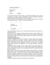 Protokolas ir etiketas - gera teorija 15 puslapis