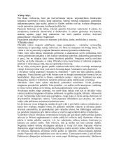 Protokolas ir etiketas - gera teorija 18 puslapis