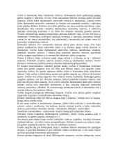 Protokolas ir etiketas - gera teorija 19 puslapis