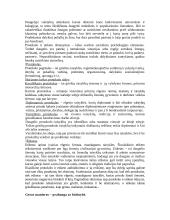 Protokolas ir etiketas - gera teorija 4 puslapis