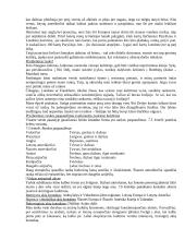 Protokolo ir etiketo teorija egzaminui 13 puslapis