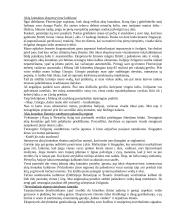 Protokolo ir etiketo teorija egzaminui 14 puslapis