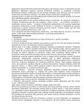 Protokolo ir etiketo teorija egzaminui 6 puslapis