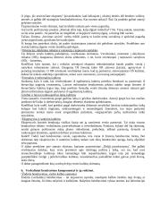 Protokolo ir etiketo teorija egzaminui 8 puslapis