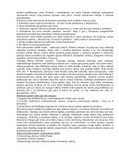 Protokolo ir etiketo teorija egzaminui 9 puslapis