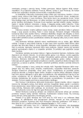 Renesanso dailė 2 puslapis