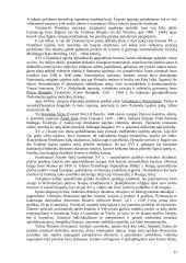 Renesanso dailė 17 puslapis