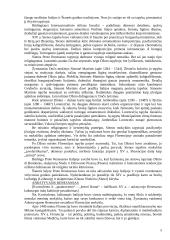 Renesanso dailė 5 puslapis