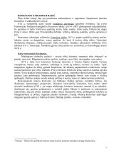 Renesanso dailės idėjos 7 puslapis