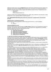 Romėnų civilinė teisė ir sistema 13 puslapis