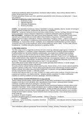 Romėnų civilinė teisė ir sistema 4 puslapis