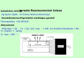 Skystųjų kristalų vaizduokliai 18 puslapis