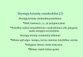 Skystųjų kristalų vaizduokliai 4 puslapis