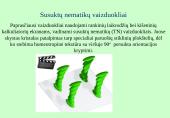 Skystųjų kristalų vaizduokliai 5 puslapis