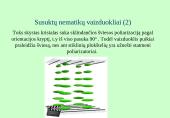 Skystųjų kristalų vaizduokliai 6 puslapis