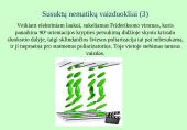 Skystųjų kristalų vaizduokliai 7 puslapis