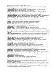 Socialinė filosofija 2 puslapis