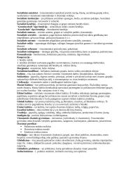 Socialinė filosofija 3 puslapis