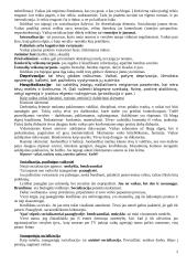 Socializacijos samprata ir procesas 2 puslapis