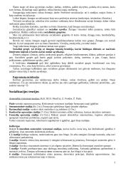 Socializacijos samprata ir procesas 3 puslapis