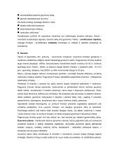 Socializacijos samprata ir esmė 5 puslapis